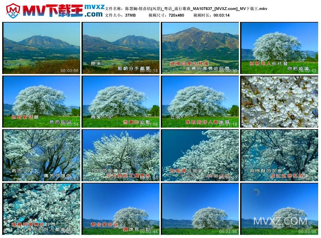 陈慧娴-情意结(风景)_粤语_流行歌曲_MA107837